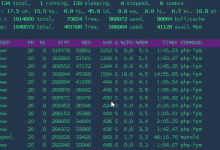 宝塔面板创建的mysql内存调优-IT火车